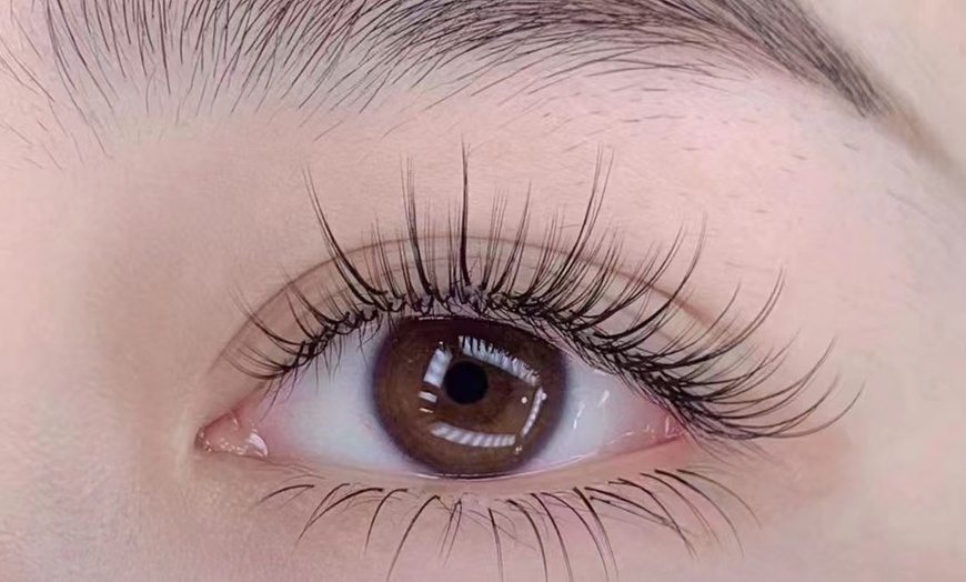 Image 4: Lash Extensions + Optional Fill or 3D, 4D or 5D Volumes or Lash Lift
