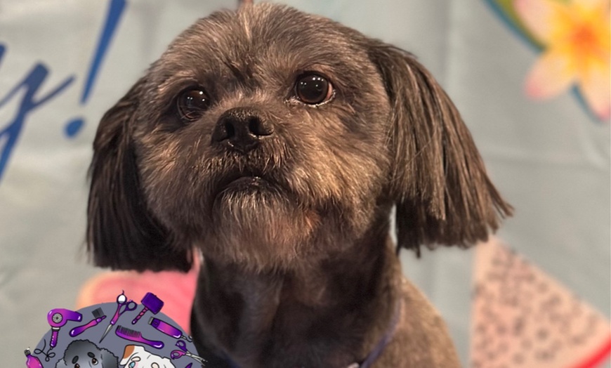 Image 8: Full Grooming Package: X-Small, Small, Medium, Large or X-Large Dogs