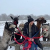 Image 3: Up to 38% Off Alpaca Walking at Wetley Moor Alpacas