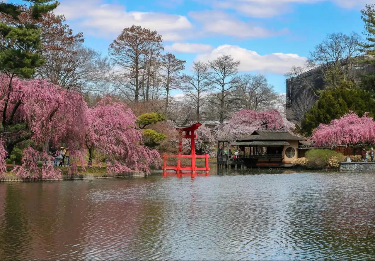 Experience springtime magic with Dmitry City Frames at Brooklyn Botanic Garden, up to 60%  - Second Medium