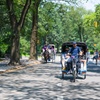 Image 5: Guided Central Park Tour in an Eco-Friendly Pedicab w/ Photo Stops