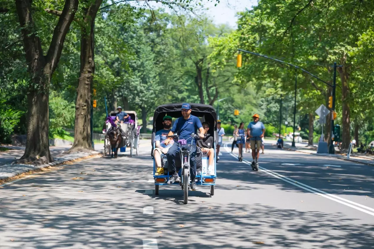 Guided Central Park Tour in an Eco-Friendly Pedicab w/ Photo Stops