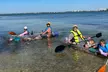 Explore Clam Bayou: 120-Minute Clear Kayak Mangrove Eco Tour - Second Medium
