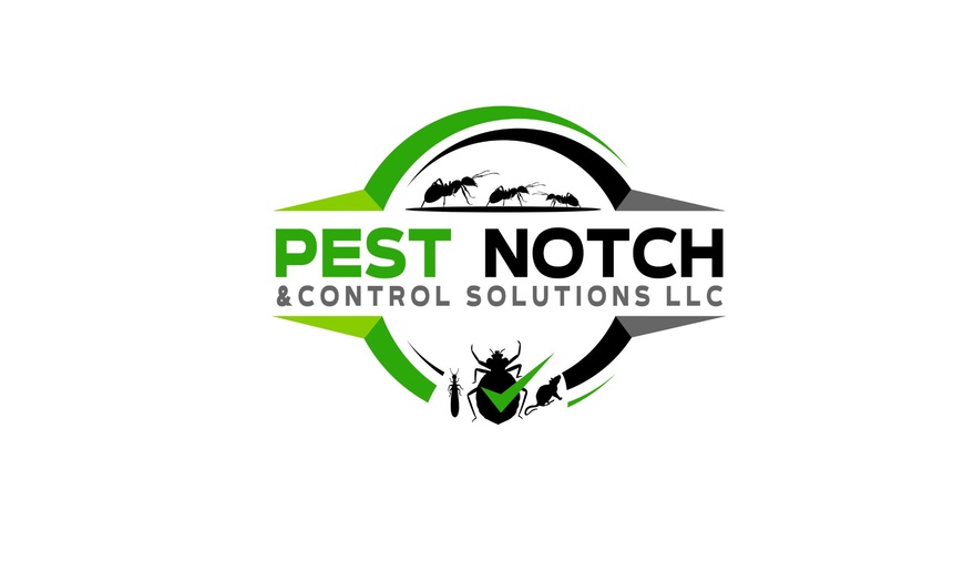 Image 2: Thorough Bed Bug Inspections for Residential Homes Up To 5,500 sqft 