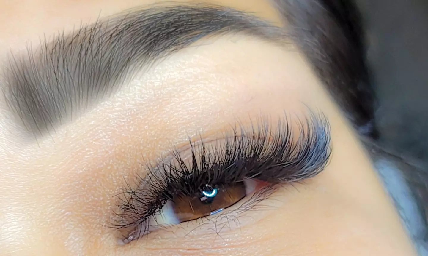 Up to 32% Off on False Eyelash Application at Whipped Studios - Primary Image