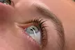 Wimpern- und/oder Augenbrauen-Lifting inkl. Färben für 1 Person (bis zu 54% sparen) - Second Medium