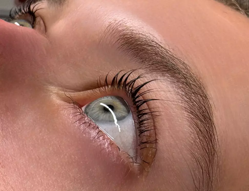 Wimpern- und/oder Augenbrauen-Lifting inkl. Färben für 1 Person