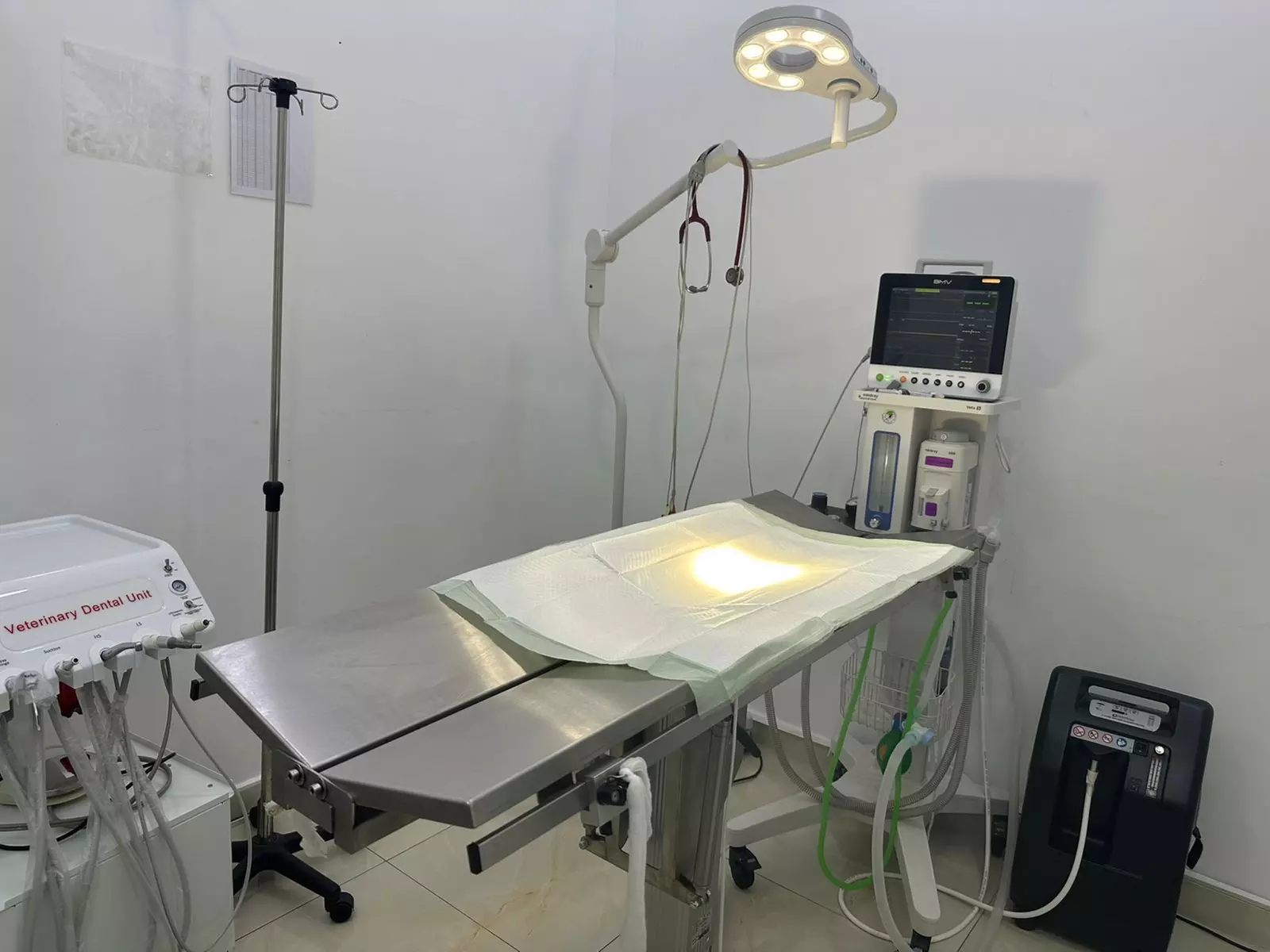 Take Care of Your Pet: Vaccination or Preventive Care Package