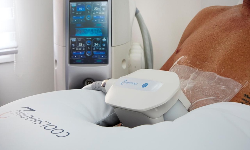 Image 2: Up to 64% Off on Cryotherapy at Fat freeze lab