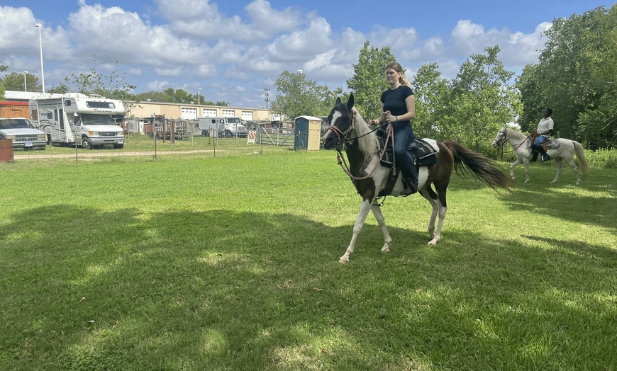 Image 4: Beginner Cowboy/Cowgirl Experience for Groups