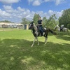 Image 4: Beginner Cowboy/Cowgirl Experience for Groups