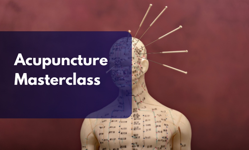 Image 1: Holistic Medicine Online Training for Wellness Acupuncture Masterclass