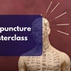 Image 1: Holistic Medicine Online Training for Wellness Acupuncture Masterclass