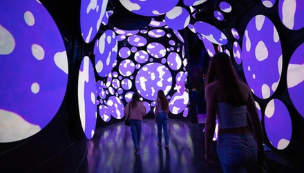 Museum General Admission for Four - Seismique