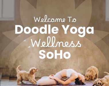 One Ticket - General Admission on Jun 28 at 9:00 AM - Doodle Yoga Wellness