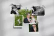 Wedding Photography w/ Image Gallery or Engagement Session w/ Package  at Jake Narciso Studios (Up to 46% Off) - Second Medium