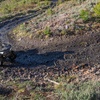 Image 4: 2-Hour Guided ATV Tour Through Northern Michigan's Picturesque Trails