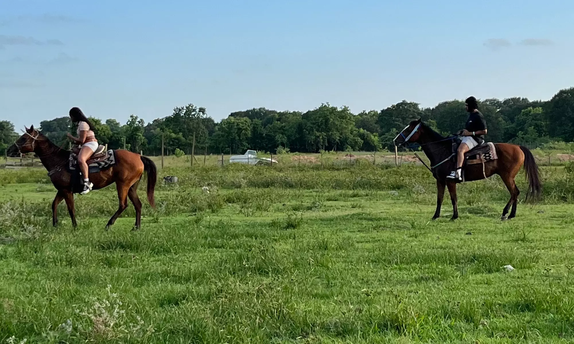 Up to 40% Off on Horse Back Riding at Heart of Her Riding Ranch - Primary Image