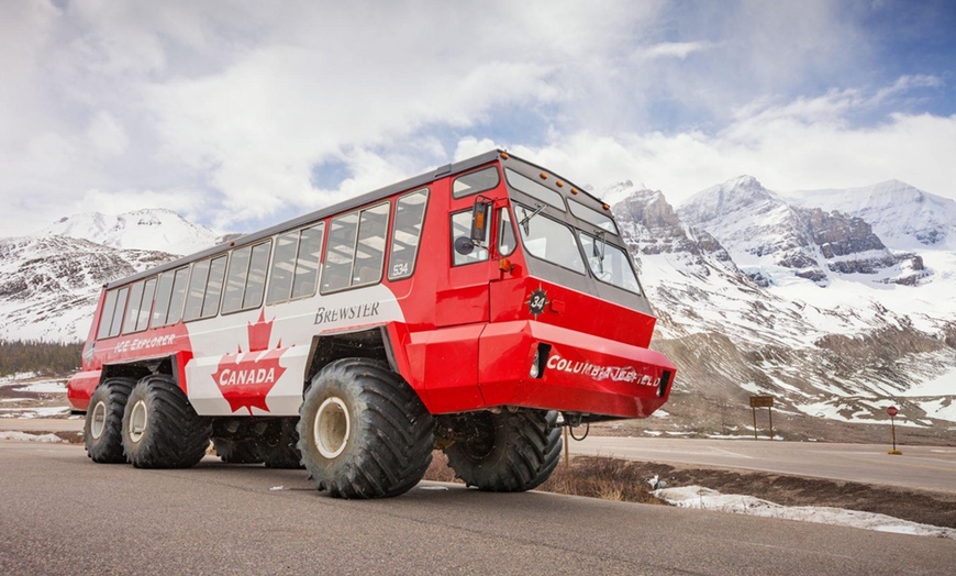 Image 3: Enjoy Nature with Columbia Icefield, Skywalk, Crowfoot Glacier Tours