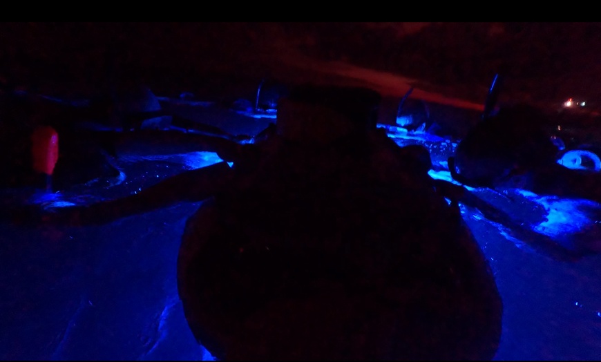 Image 4: Enjoy 2 hour Manta Tour (45 Minutes Water Time for up to 6 People at Kona Mantas(Up To 38% Off)