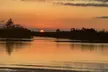 Swamp Eco Cruise & Walking Tour – 2-Hour Adventure for 1–6 People at Gulf Coast Eco Tour (Up to 20% Off) - Second Medium