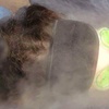 Image 7: Up to 38% Off on Men's Facial at YouSeeMee Facials and Beauty LLC