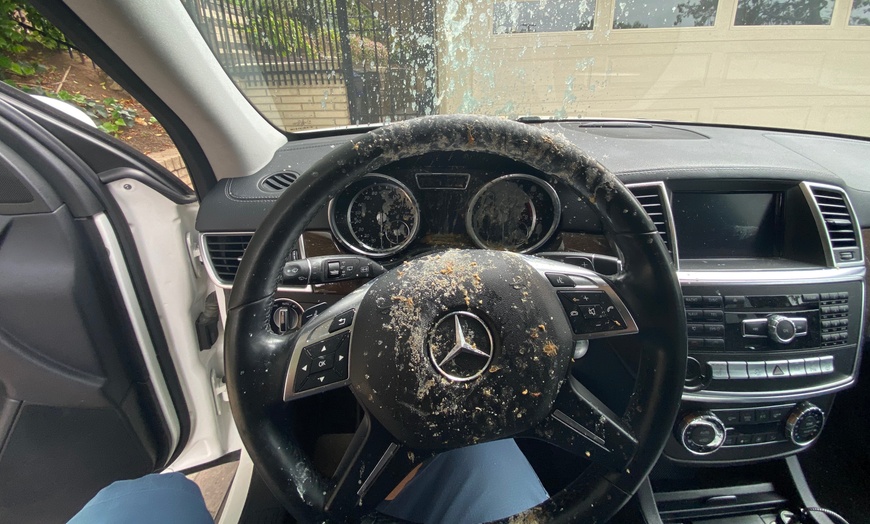 Image 6: Up to 15% Off on Interior Car Cleaning at Middlebrooks Auto Detailing