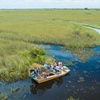 Image 12: Up to 45% Off Miami Highlights Exploring Tour Or Everglades National Park For 1 or 2 by Sunny Miami Tours