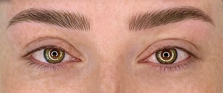 Ombre’ Brows Touch-Up session - Laurin iBrows Artist