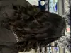 Haircut, Condition & Blowdry; Or Choose from Basic to Elite Color & Blonding Packages - Up to 54% Off
