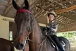 Up To 48% Off On Saddle Seat Riding with Two, Four, or Eight Horse Back Riding Lessons - Second Medium