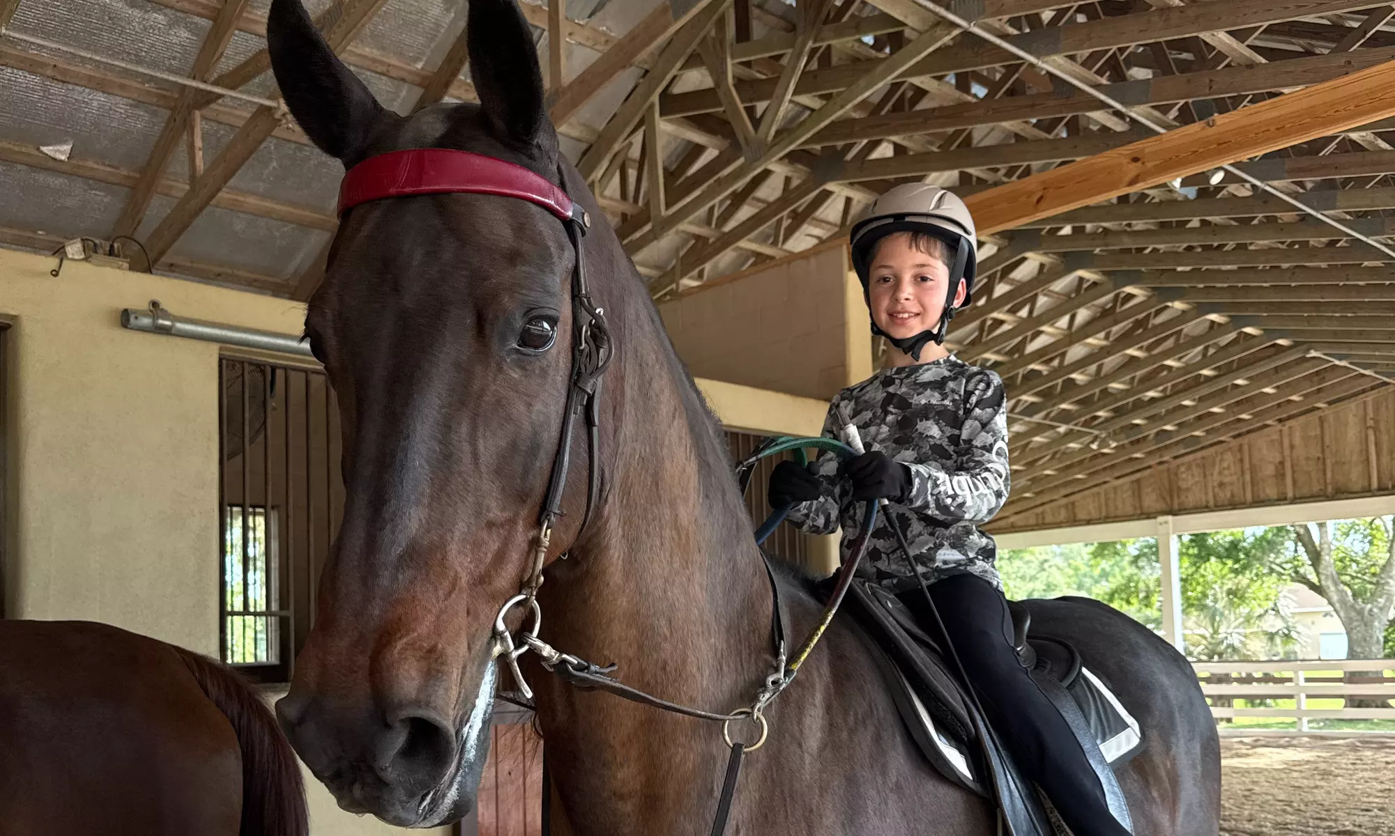 Try Saddle Seat Riding with 2, 4, or 8 Horse Back Riding Lessons 