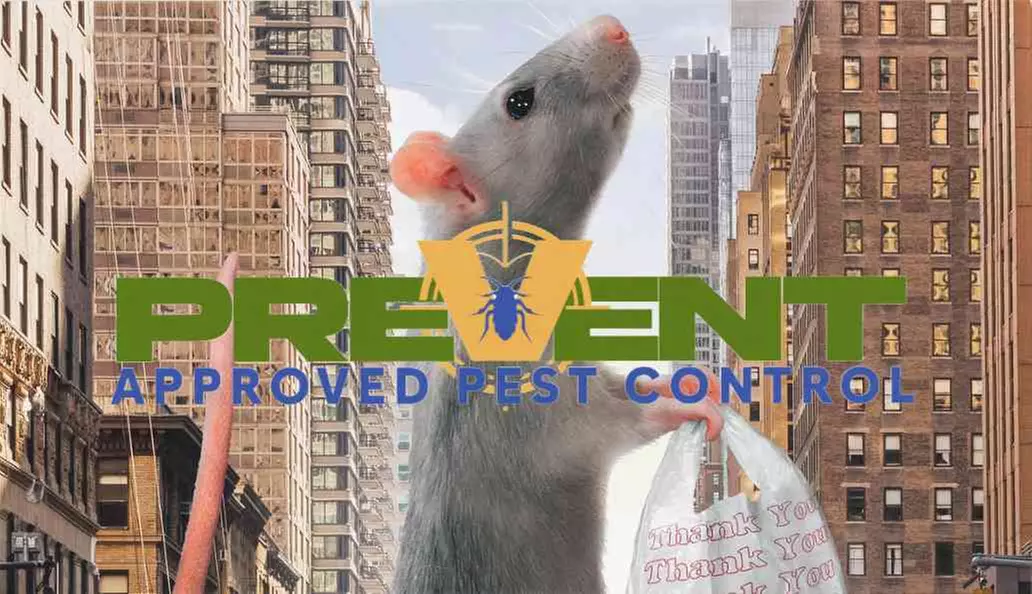 Interior & Exterior Rodent, Insect Pest Control For Up To Five Rooms!