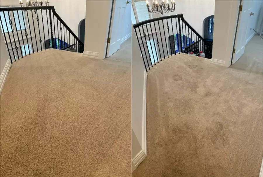 Freshen up your Rooms and Hallway with Carpet Cleaning