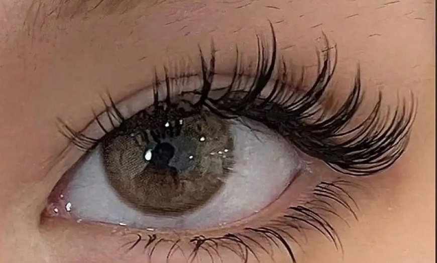 Image 4: Achieve Glamorous Eyes: Classic, Hybrid, or Volume Eyelash Extensions