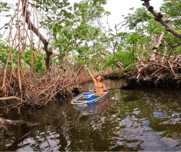 Bradenton: 2-Hour Clear Kayak Eco Tour - Watersports Now LLC - Palmetto, FL