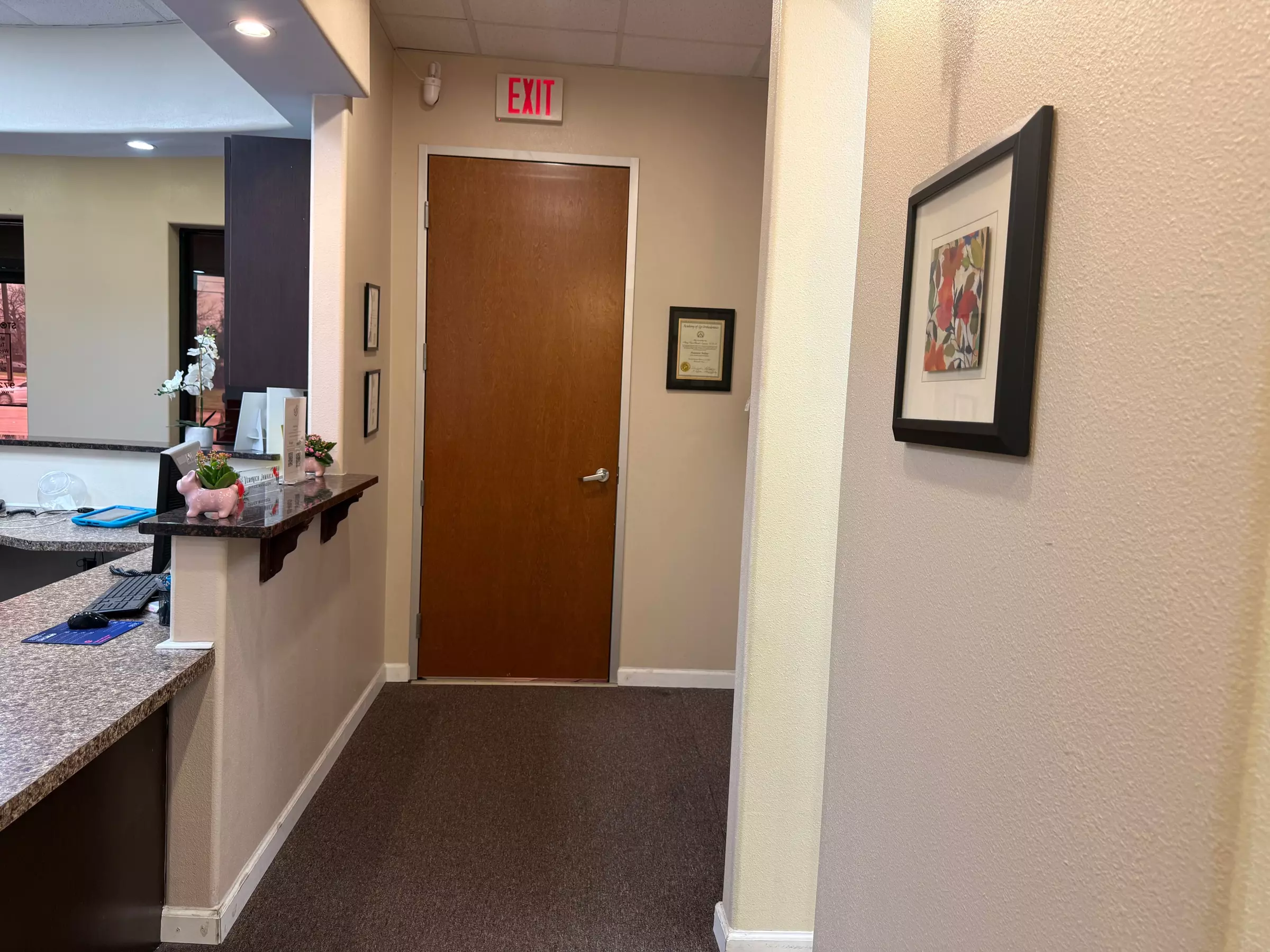 Dental Care Package: Dental Exam, Cleaning, X-Rays and More