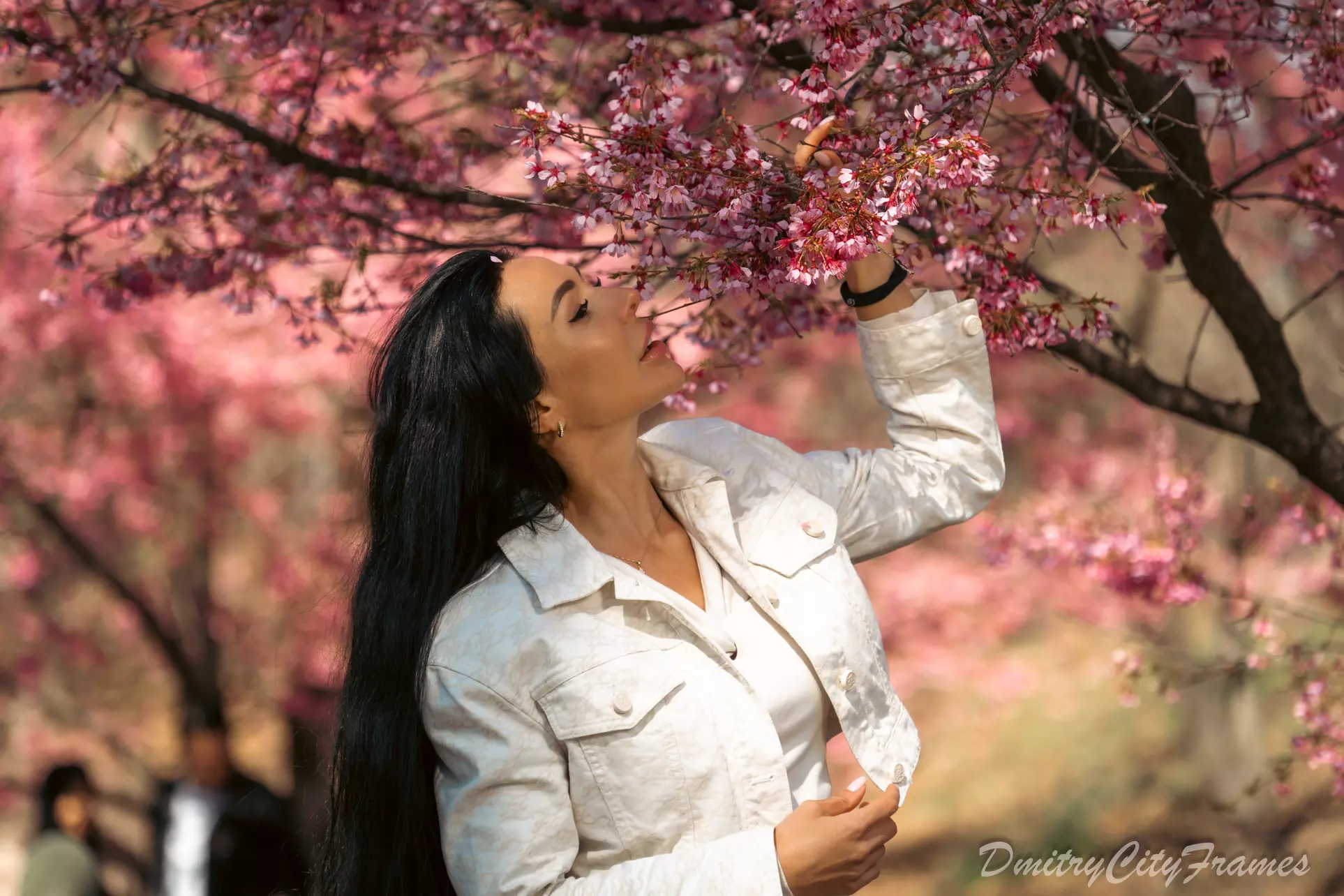 Up to 60% Off on 60-Minute Cherry Blossom Photography in Central Park at Dmitry City Frames - Primary Image