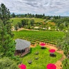 Image 6: Up to 40% Off Wine Tastings at Docmanov Vineyards and Winery
