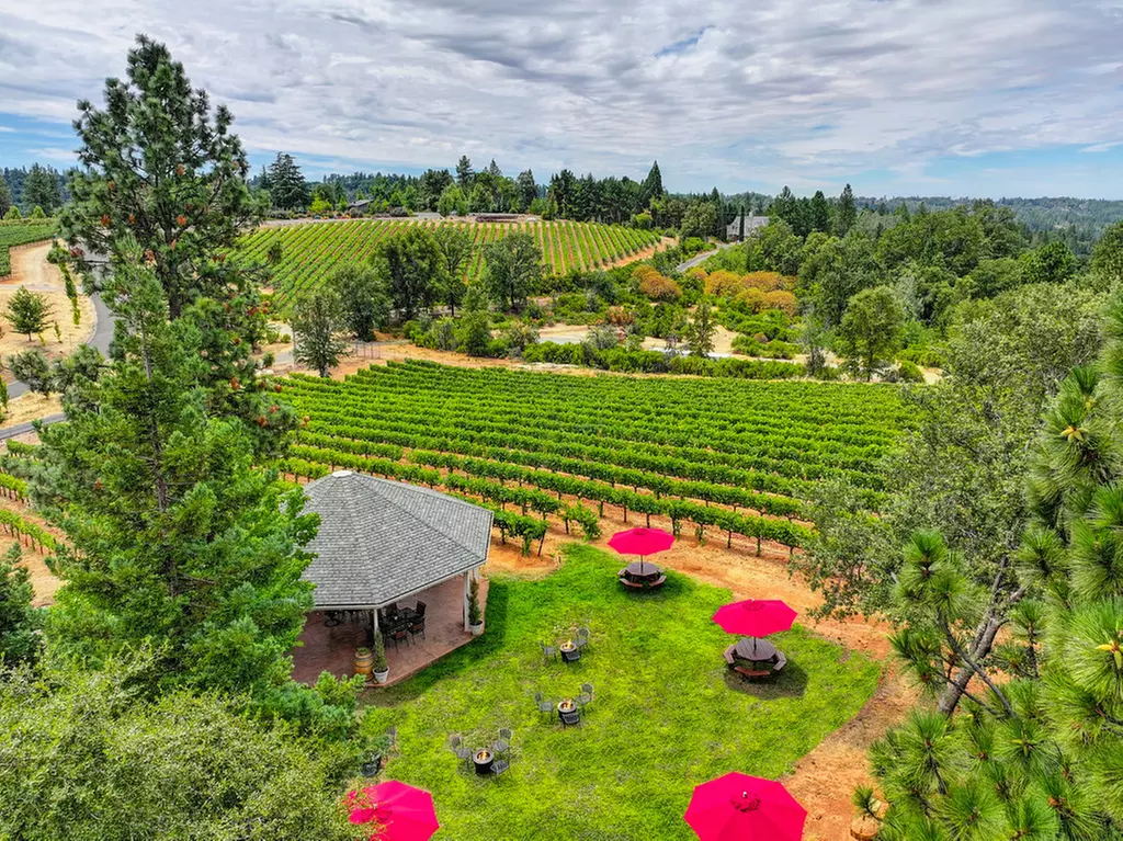 Up to 46% Off Wine Tastings at Docmanov Vineyards and Winery