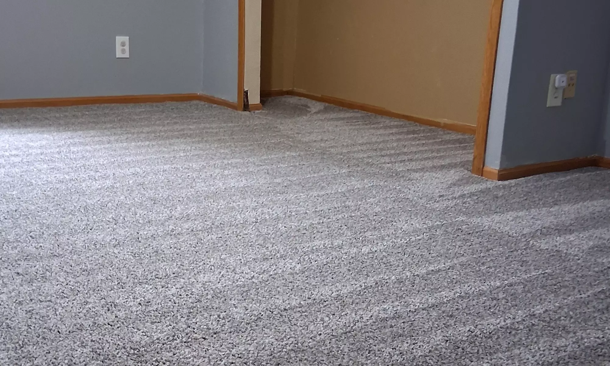 Shine on Schedule – House Cleaning by the Hour (1 Cleaner)