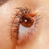 Image 10: Up to 41% Off on Eyelash Tinting at Beautiqueen