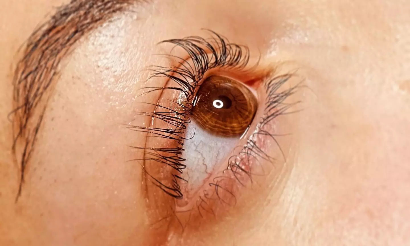Up to 41% Off on Eyelash Tinting at Beautiqueen