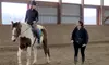 Join River Chase Farm's 8-Lesson Horseback Riding Packages for Adults & Kids—Gallop into Fun and Fitness (Up to 30% Off)