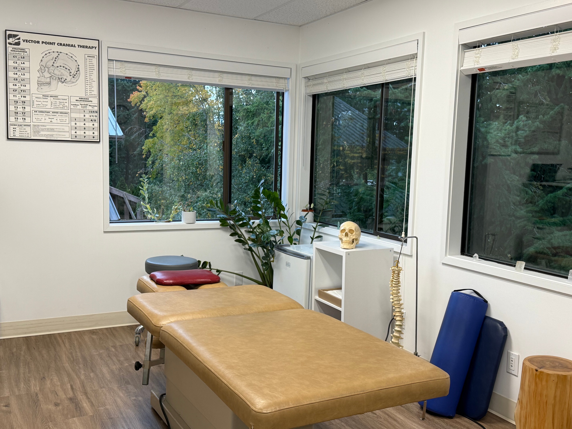 Comprehensive Consultation & Follow-up Care Package