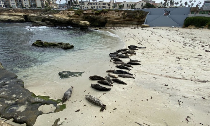 Image 3: San Diego Sightseeing Tours - Explore Coronado, Gaslamp, La Jolla