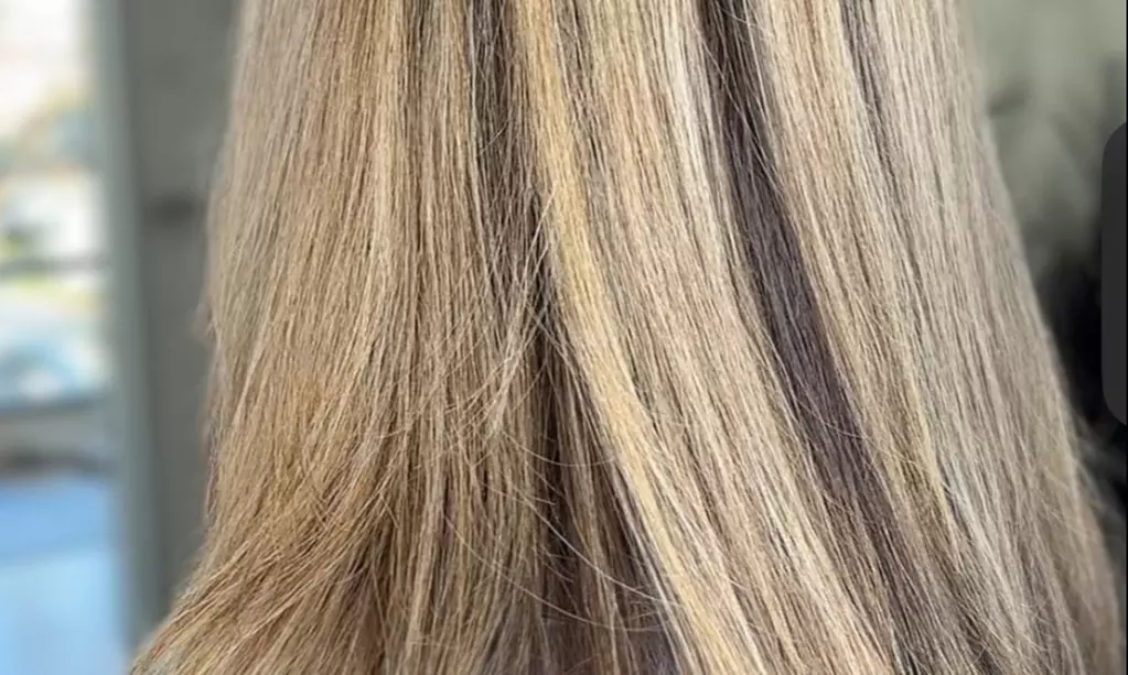 Up to 60% Off on Salon - Hair Color / Highlights at B. Michele Beauty