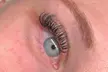 Up to 50% Off on Eyelash Extensions at Lee Lash LLC - Second Medium