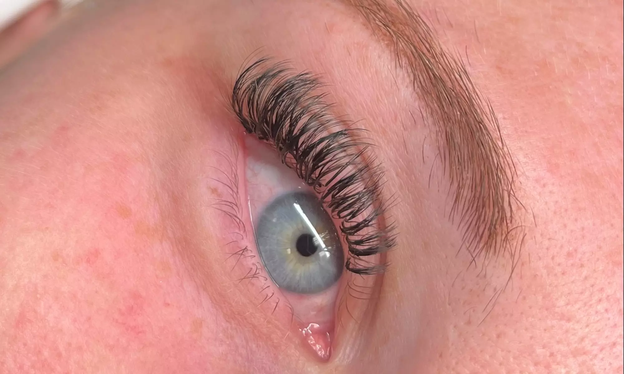 Up to 55% Off on Eyelash Extensions at Lee Lash LLC