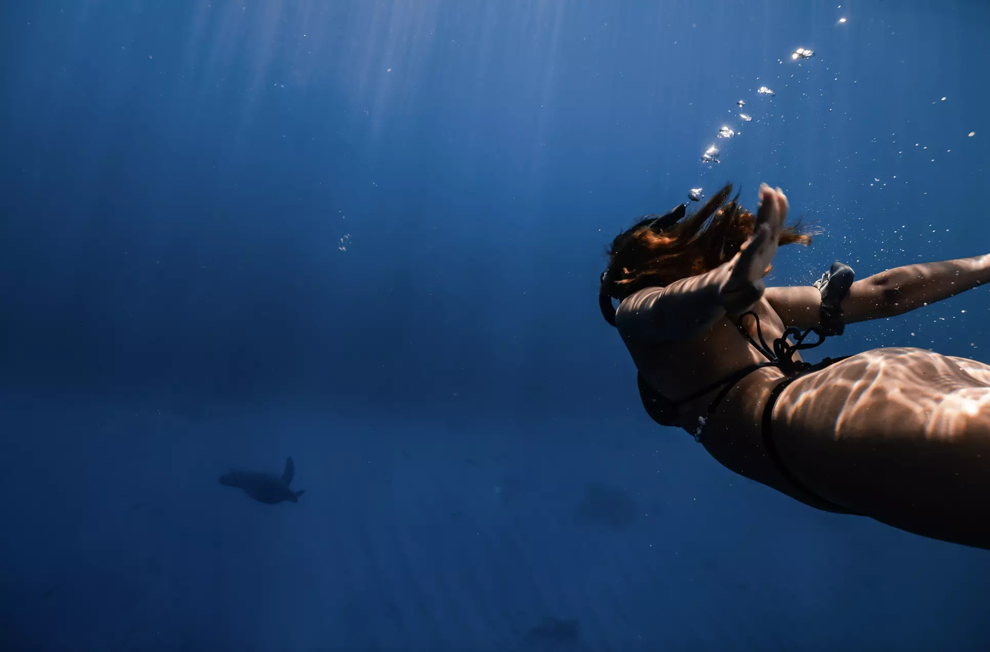 Up to 50% Off on Snorkeling at Hawaii Apex Charters